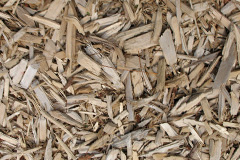 biomass boilers Pannal Ash